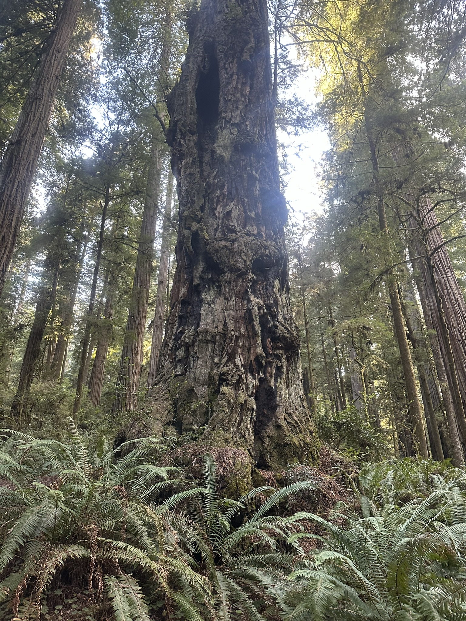 United States-National Parks-Other - Image 3284
